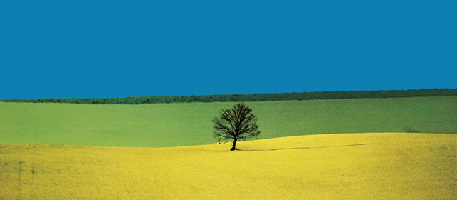 10 fotografie di Franco Fontana