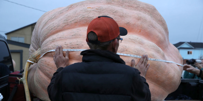 Di piedi statunitensi ce ne sono due