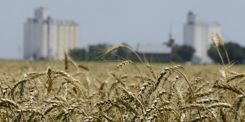 Si possono misurare i diritti umani?