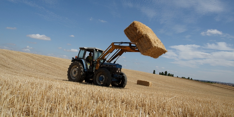 Come innovare l’agricoltura in Basilicata