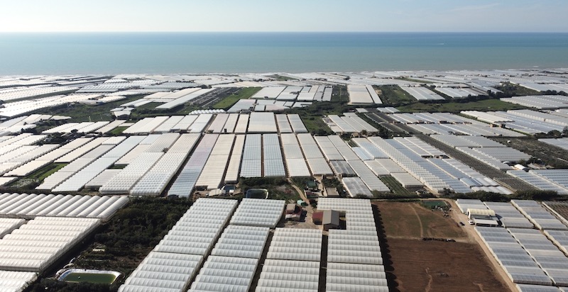 Nelle serre in provincia di Ragusa i diritti non esistono