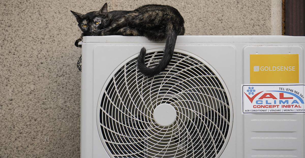 Quanta energia elettrica si consuma con il caldo