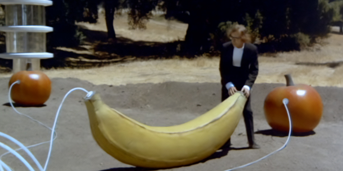 Mangiamo sempre la stessa banana