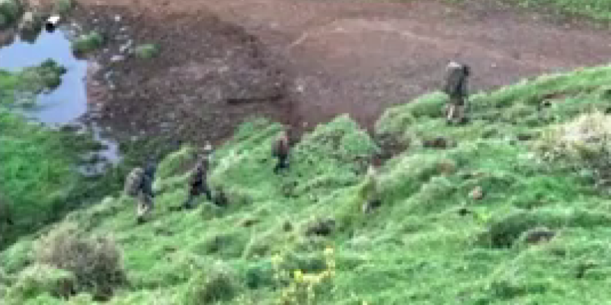 Nei boschi della Nuova Zelanda sono stati avvistati un uomo e i tre figli spariti dal 2021