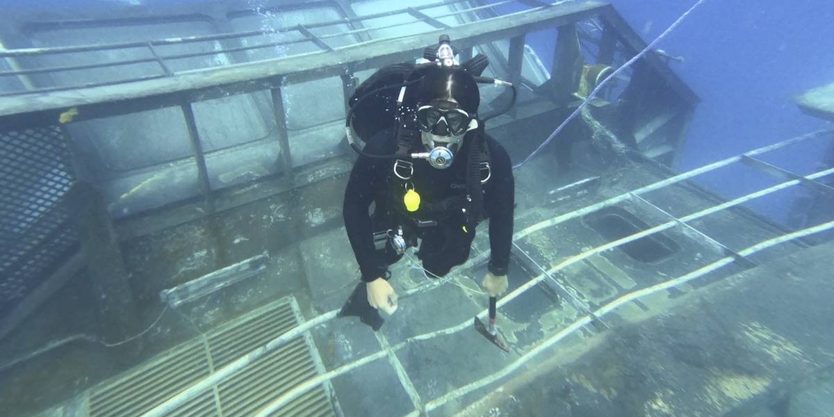 Il naufragio della nave della marina neozelandese Manawanui è stato causato da un errore umano