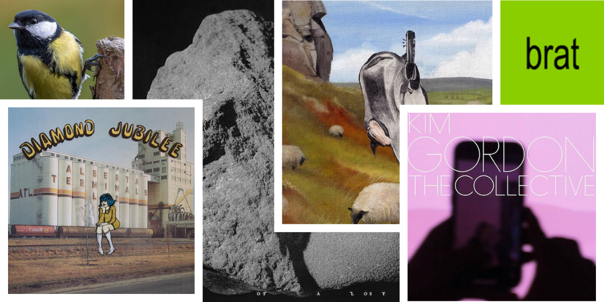 Cosa c’è sulle liste dei migliori dischi del 2024