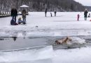 Una persona nuota nell'acqua ghiacciata in un lago vicino a Vilnius, con temperature di -5 °C