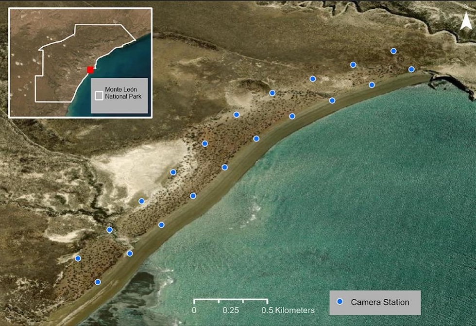 Una mappa della costa del parco nazionale di Monte León