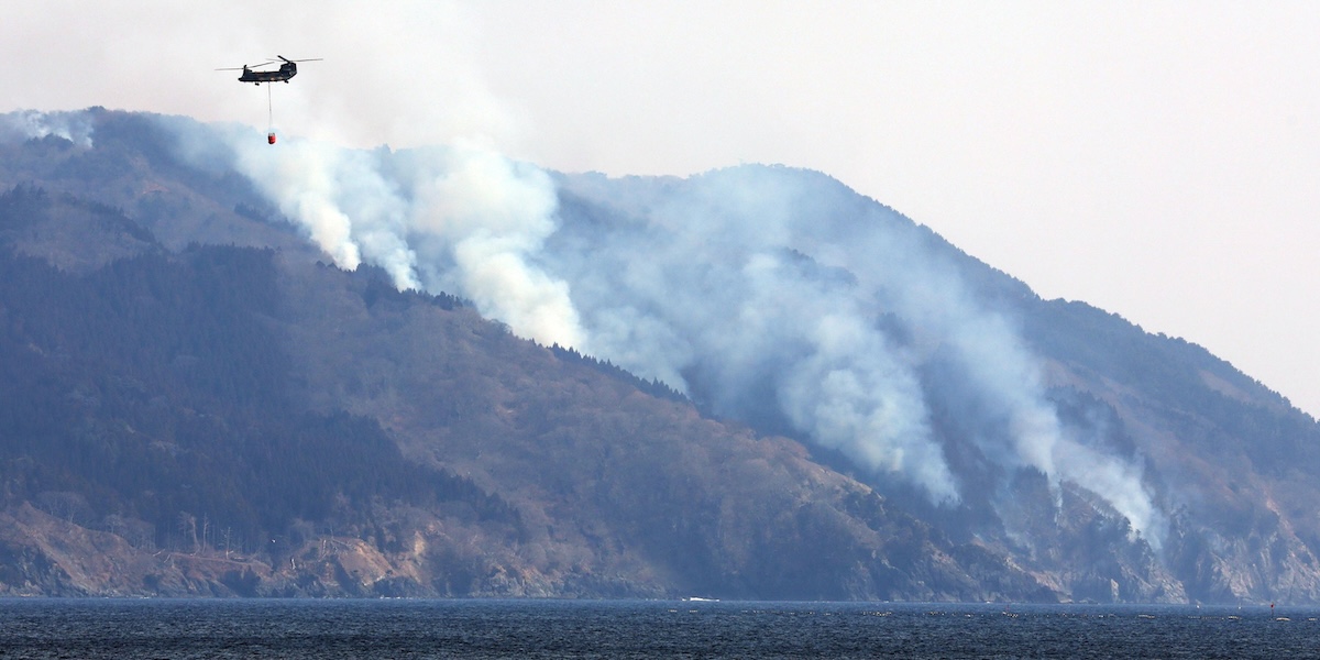 Il Giappone sta affrontando il più esteso incendio boschivo degli ultimi  trent'anni - Il Post