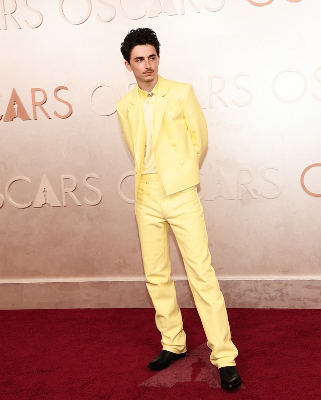 Una foto di Timothée Chalamet agli Osar(Chelsea Guglielmino/FilmMagic)