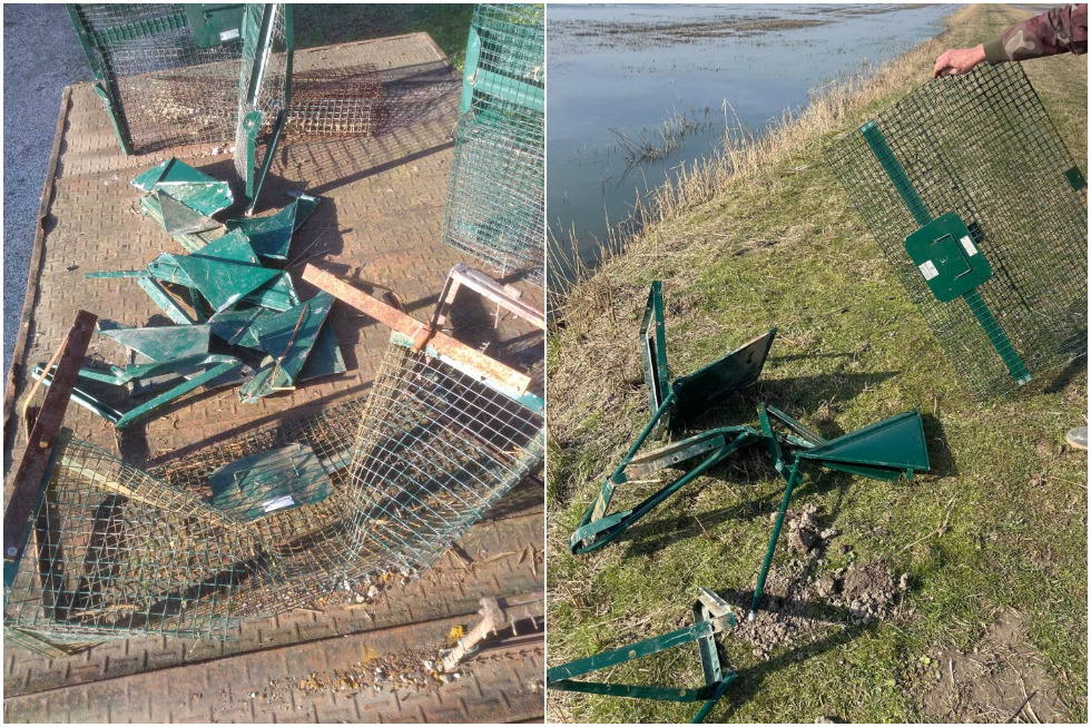 Trappole per nutrie distrutte