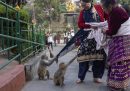 Kathmandu, Nepal