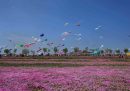 Weifang, Cina