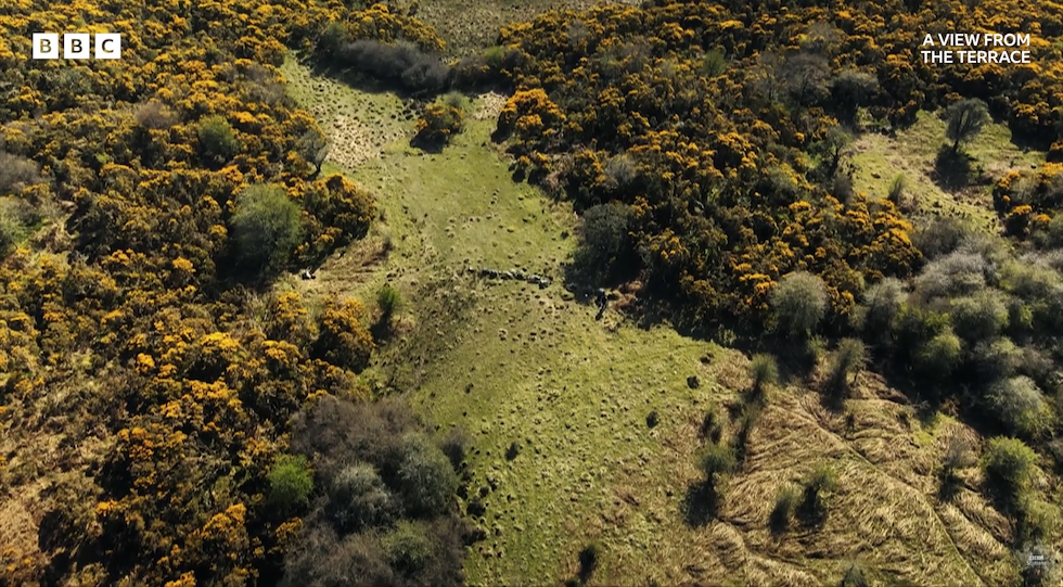 La zona dove O'Brien ha individuato il campo (dal canale YouTube di BBC Scotland)