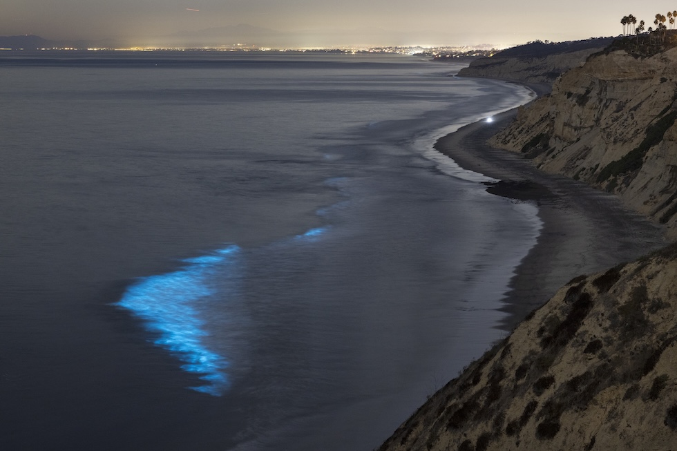 Un’onda di colore blu elettrico, qualche decina di metri al largo di una costa scoscesa 