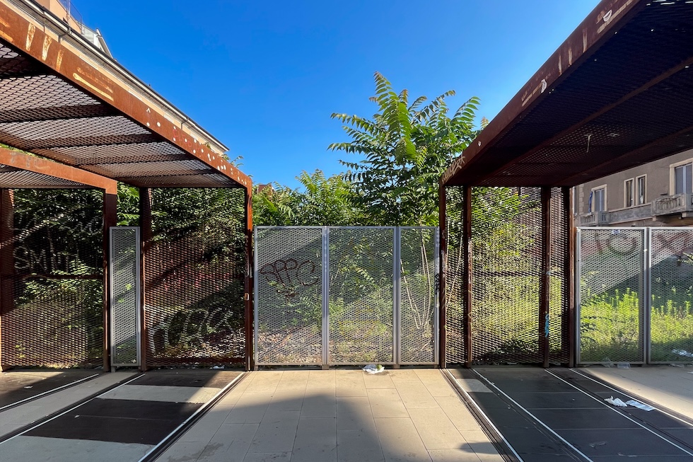 Piante di ailanto oltre una cancellata