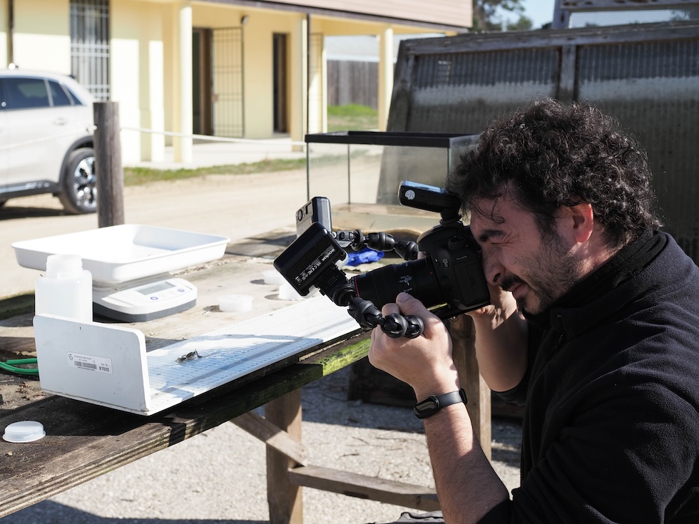 Un ricercatore dell'università di Ferrara fotografa un piccolo pesce 