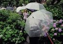 Tokyo, Giappone