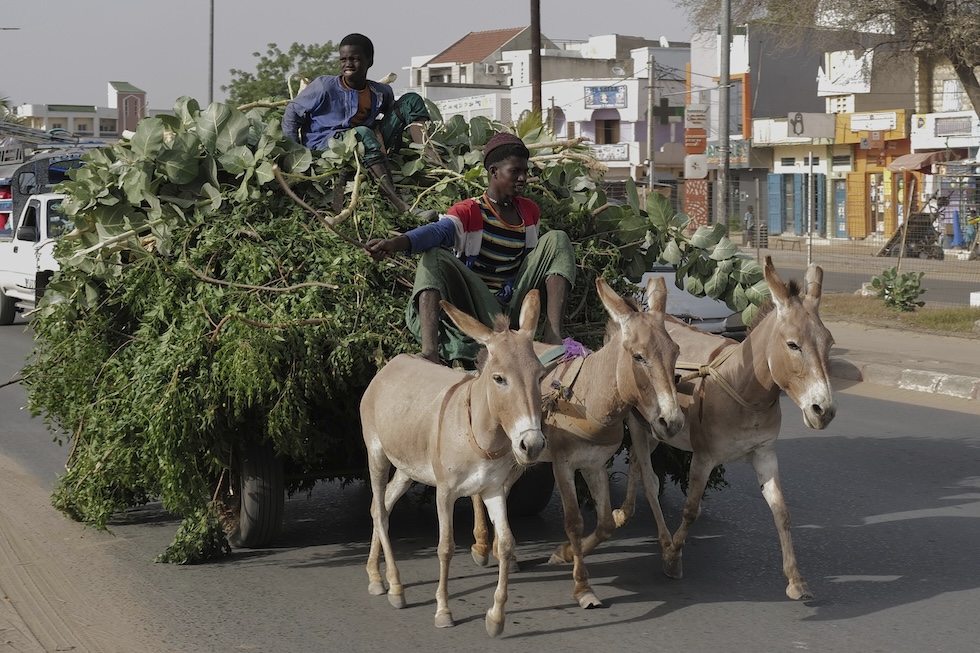 Touba, Senegal