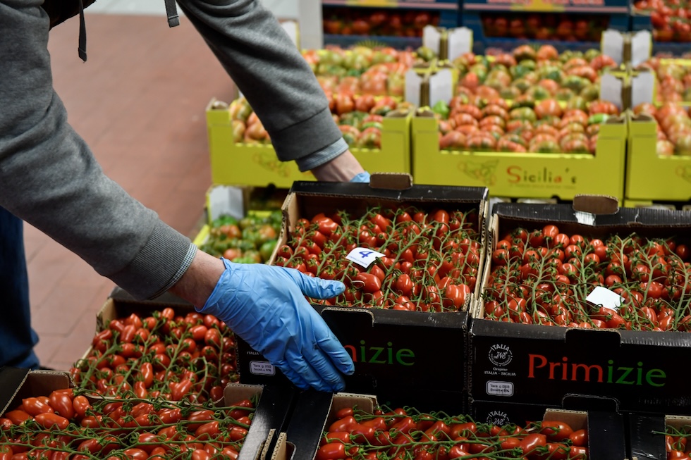 Cassette di pomodori al mercato ortofrutticolo di Milano 