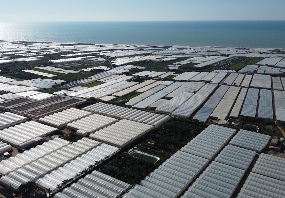 Le serre della cosiddetta Fascia trasformata, un'area di 80 chilometri in provincia di Ragusa (foto Il Post)