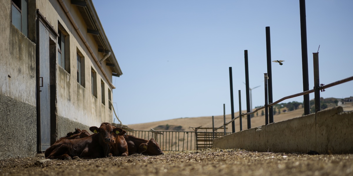 La regione Sicilia ha sospeso delle attività lavorative in alcune ore dei giorni più caldi