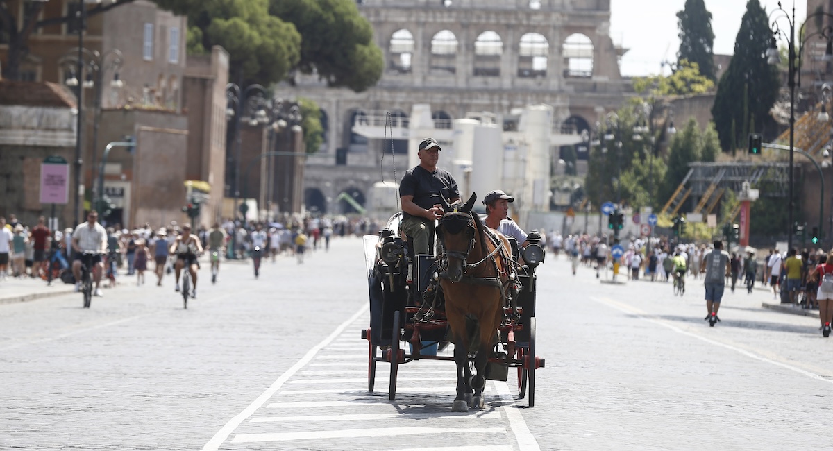 Leggi l'articolo: Le carrozze coi cavalli nelle città sono sempre meno, ma resistono