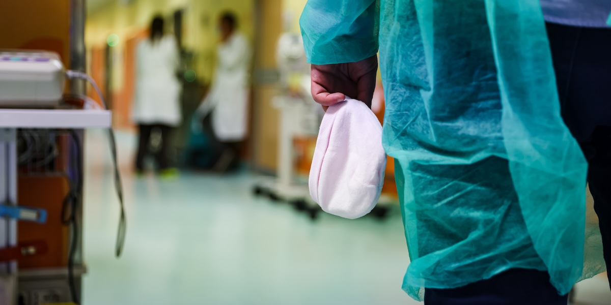 In provincia di Latina una donna di 82 anni è morta di febbre West Nile, trasmessa dalle zanzare, e ci sono altri sei casi