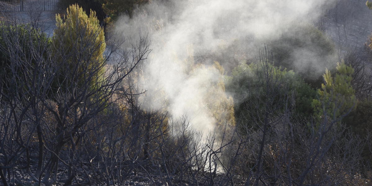 In Puglia è un’estate di incendi