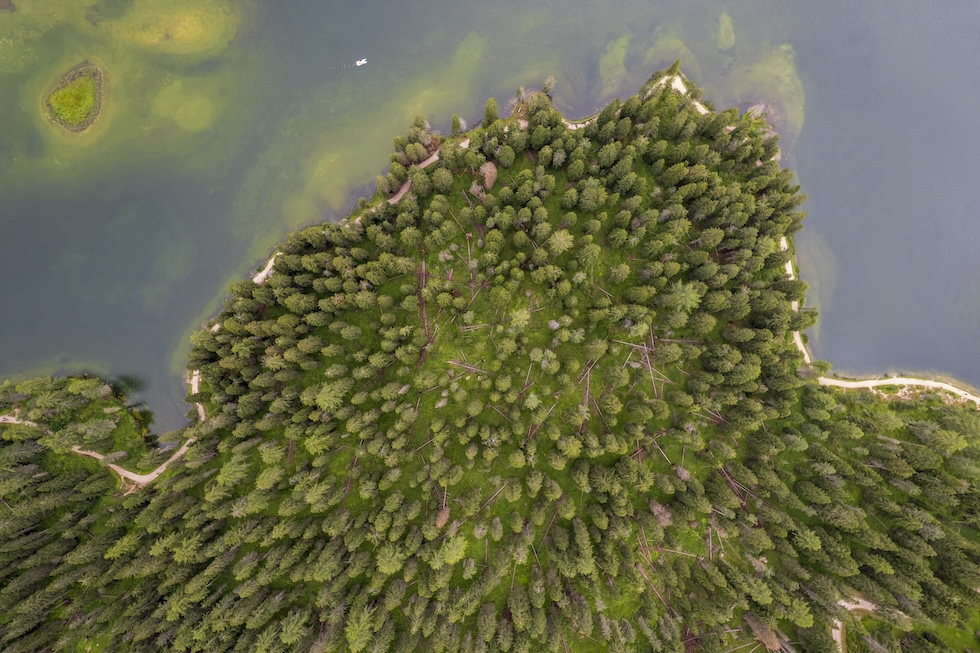 Una veduta aerea di un bosco accanto al lago di Misurina, in provincia di Belluno
