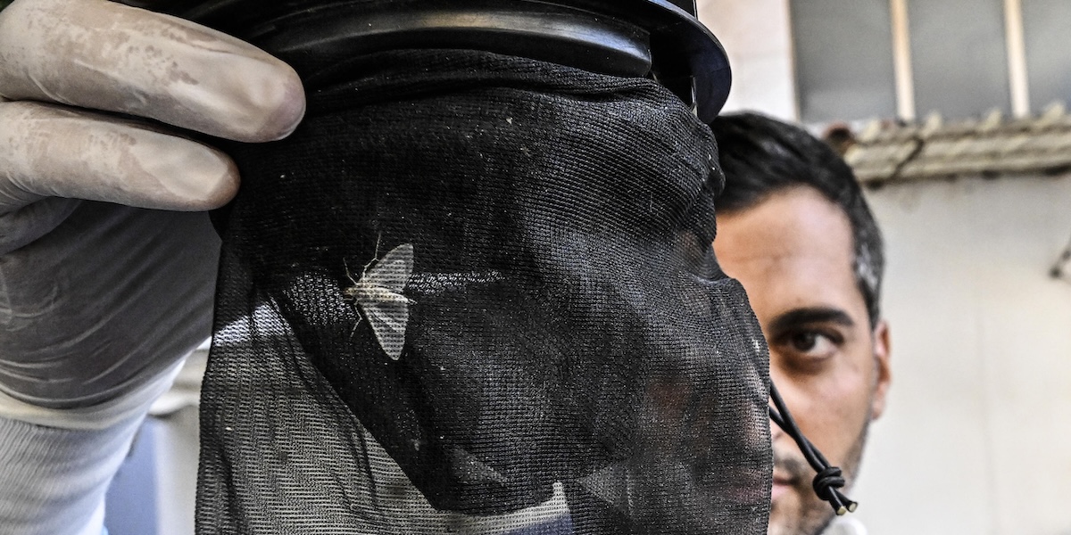 Le persone morte a causa della febbre West Nile in Italia sono dieci