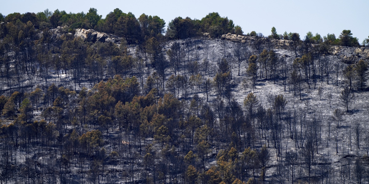 Il grande incendio boschivo nel sud-ovest della Francia ora è sotto controllo