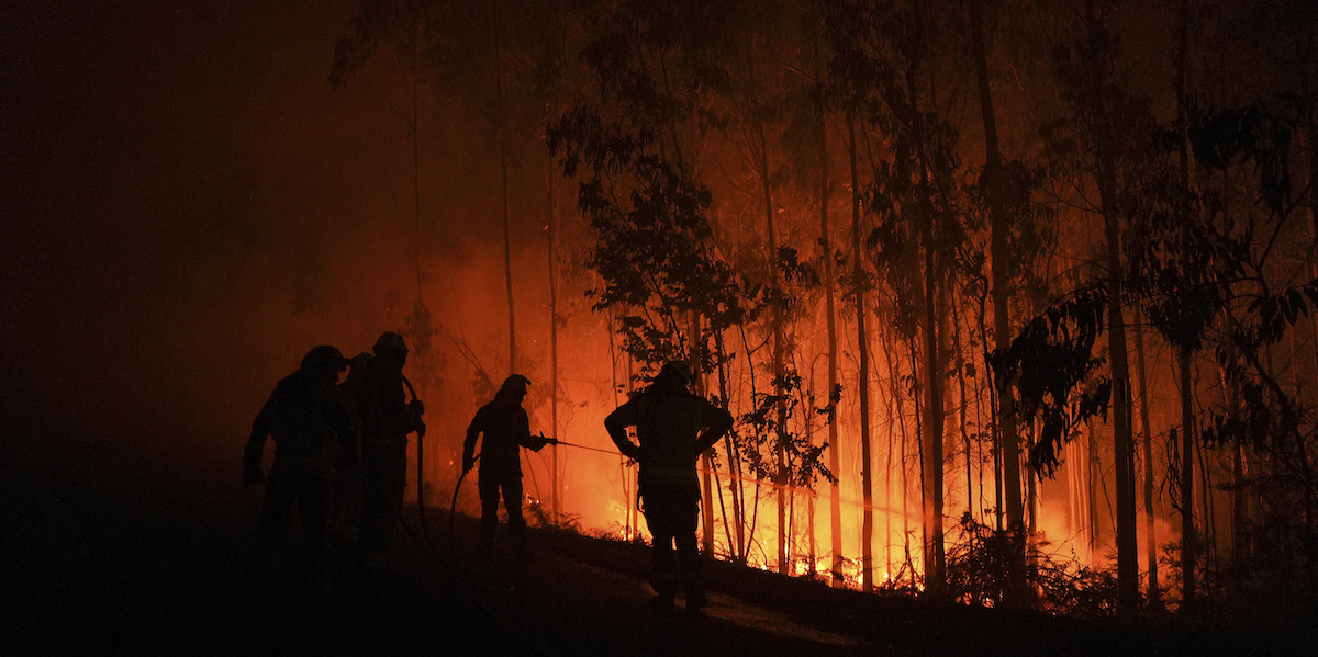 Ci sono grossi incendi boschivi in Spagna