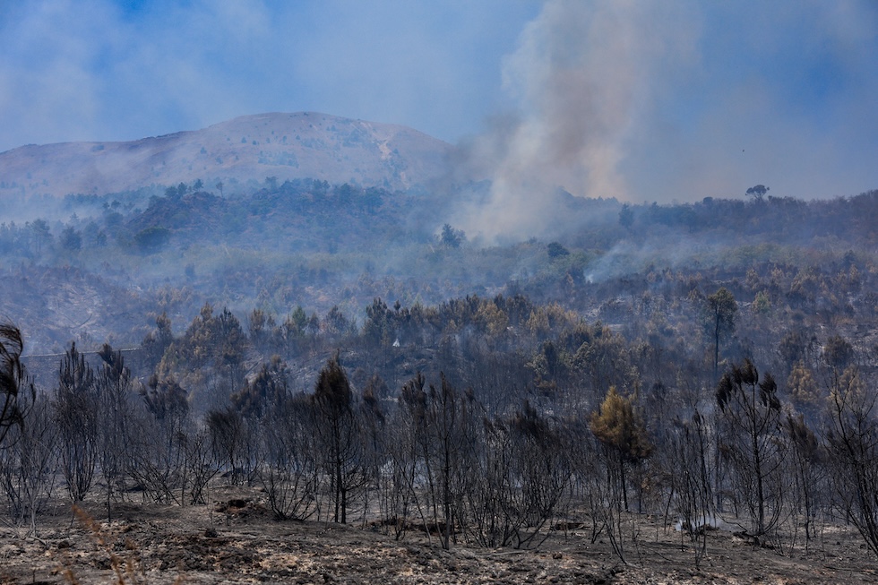 Area bruciata nel Parco Nazionale del Vesuvio