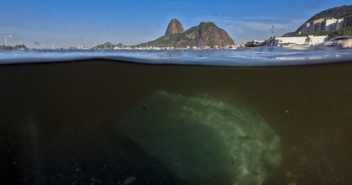 È fallita un’importante riunione tra 184 paesi per ridurre l’inquinamento provocato dalla plastica