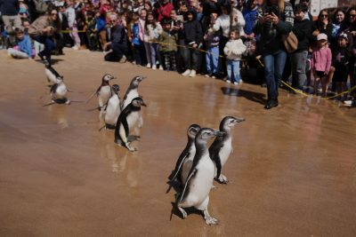 Punta del Este, Uruguay
