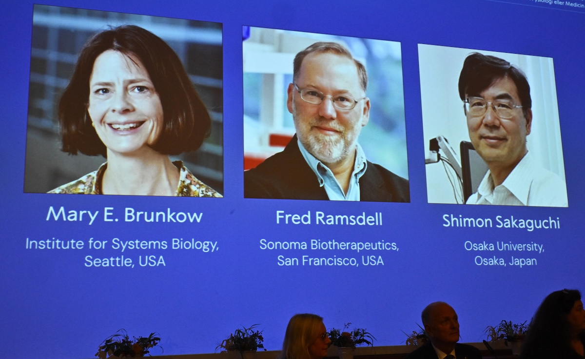 Il Nobel per la Medicina a Mary E. Brunkow, Fred Ramsdell e Shimon Sakaguchi