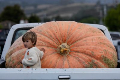 Half Moon Bay, California, Stati Uniti