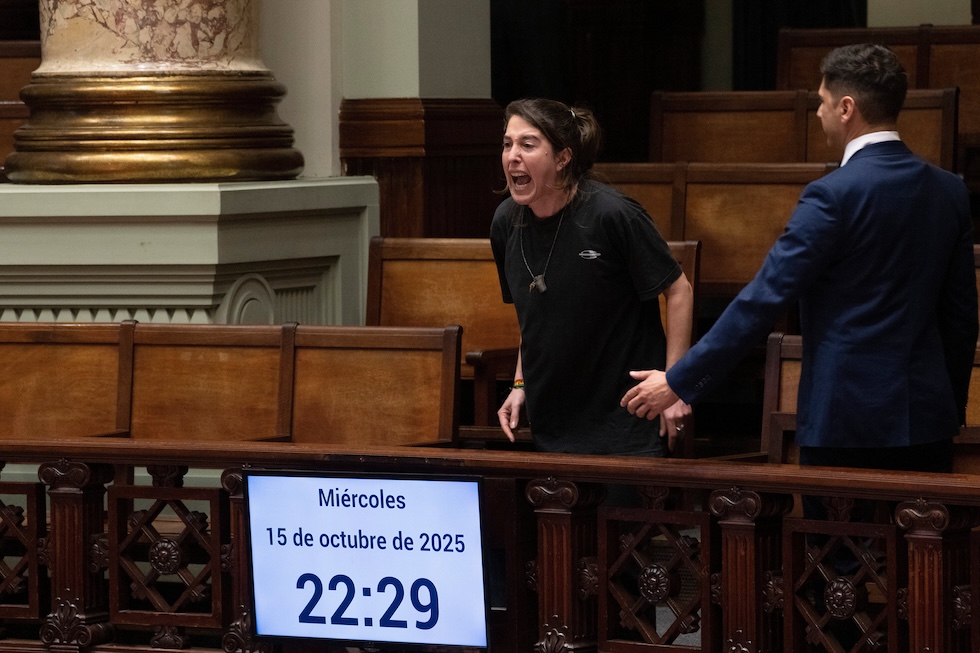 Una donna contesta l'approvazione della legge al Senato, il 15 ottobre 