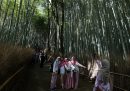Alcune turiste si scattano fotografie nella foresta di bambù di Arashiyama