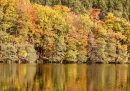 Il foliage sul Walchensee