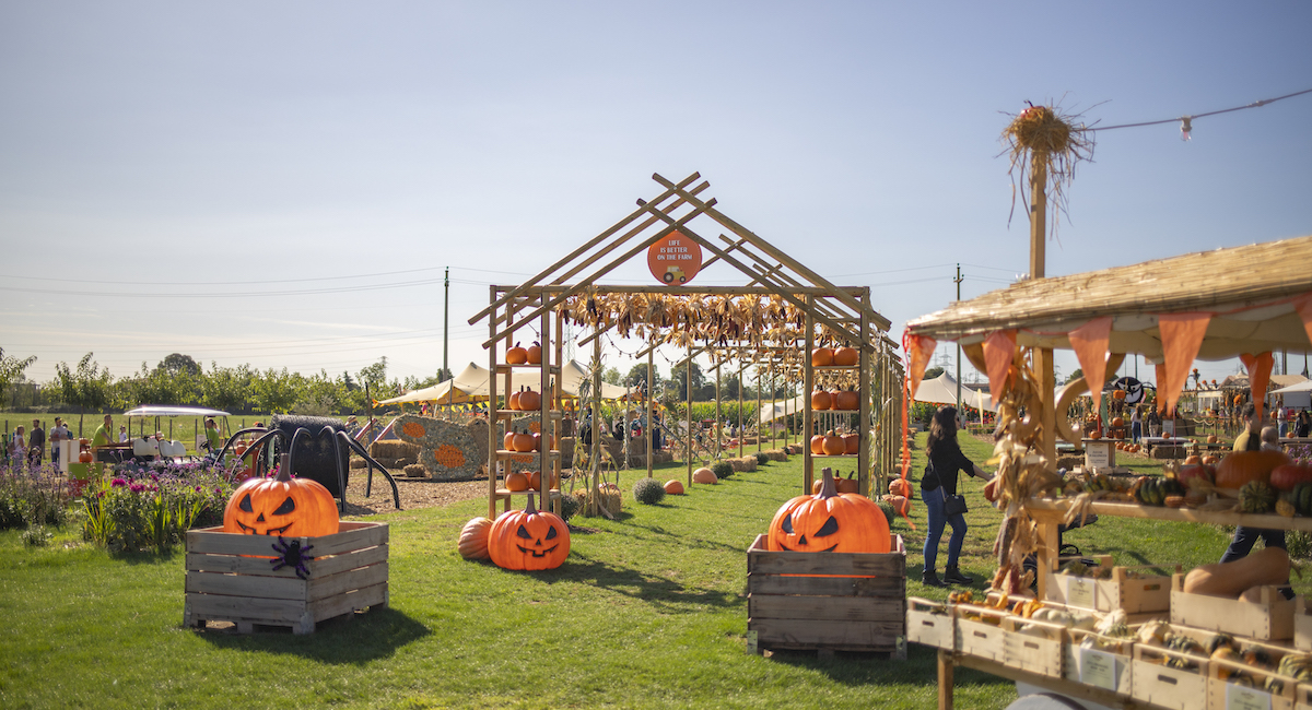 L’ennesima cosa molto americana che ora facciamo anche noi