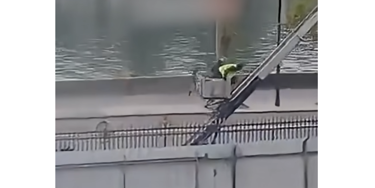 Leggi l'articolo: Il video della fuga dei ladri dal Louvre, indisturbati