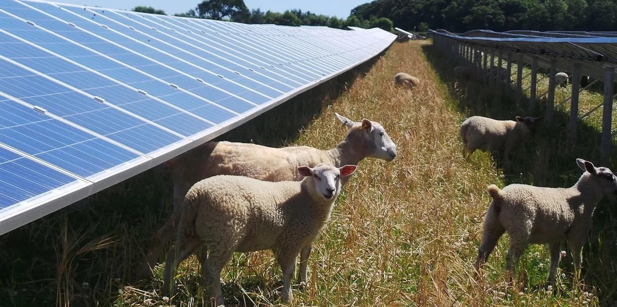 È sparito il decreto “Energia”