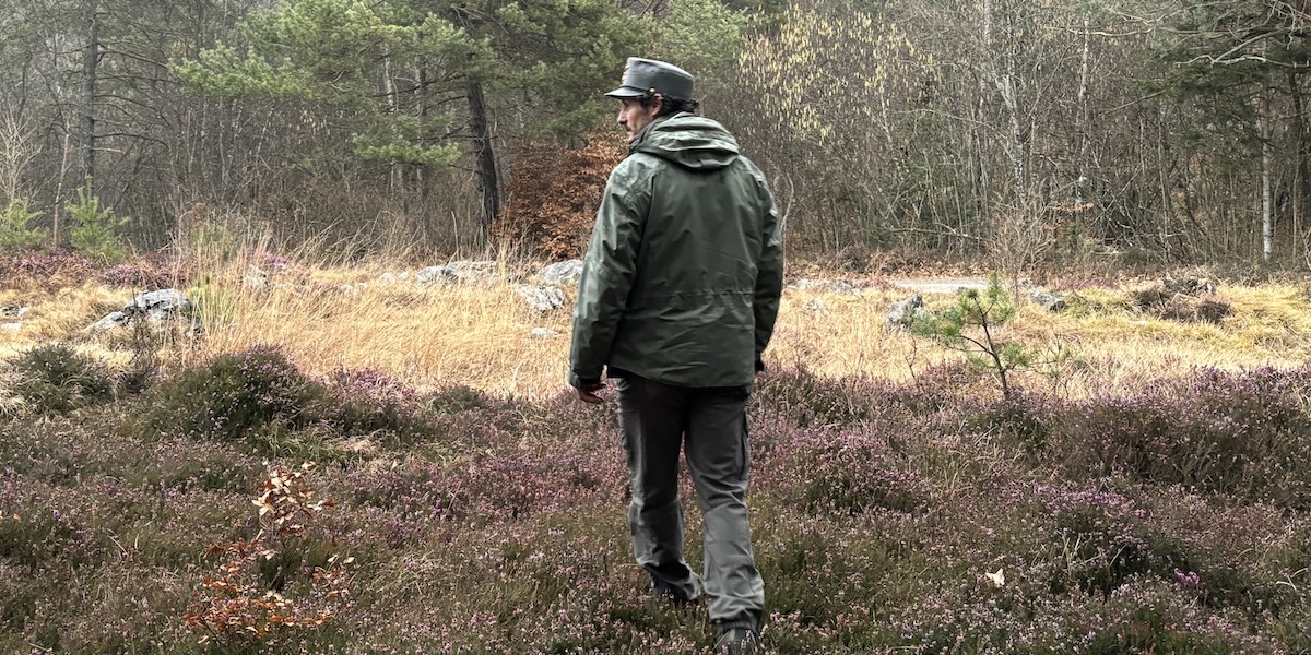 Le indagini sulle sospette uccisioni di orsi in Trentino