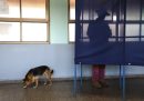 Una persona al seggio elettorale, e un cane