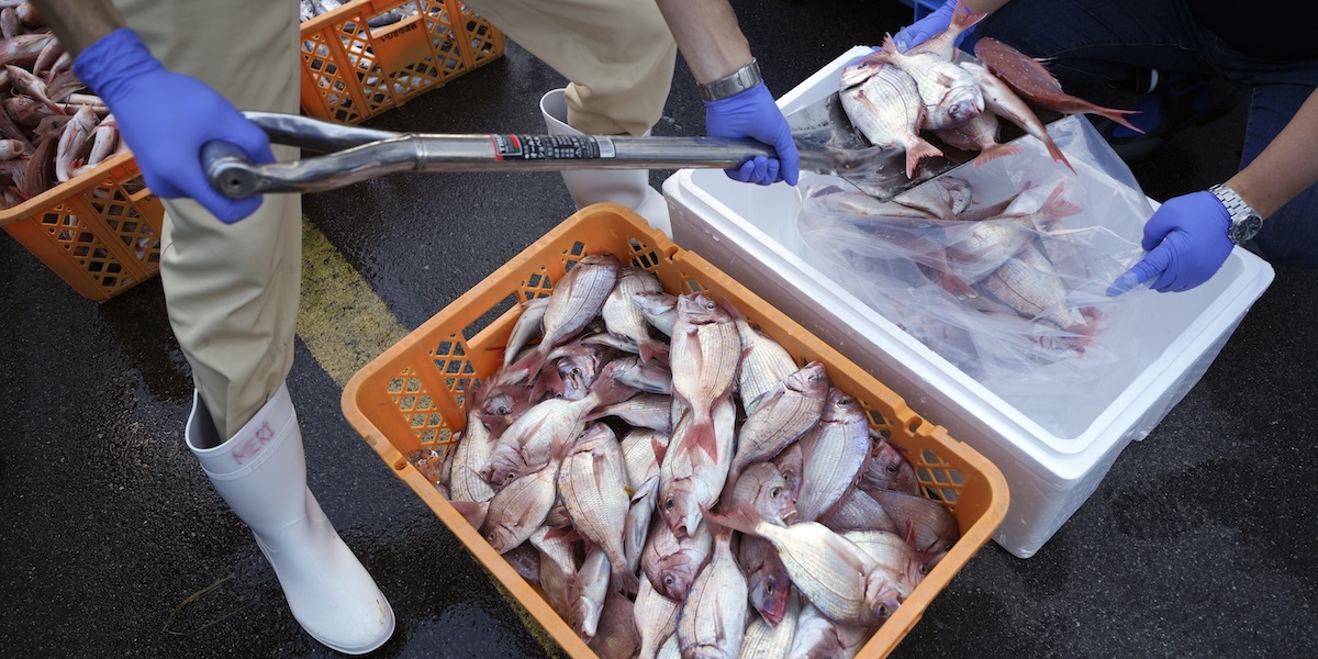 La Cina sospenderà l’importazione di prodotti ittici dal Giappone per via delle tensioni legate a Taiwan