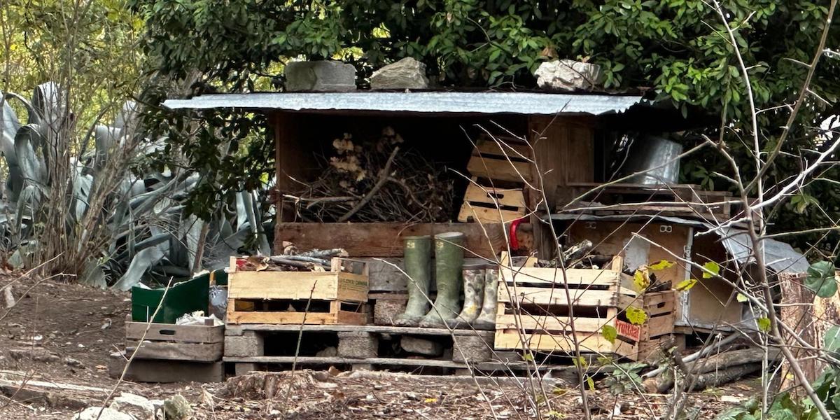 Perché la destra si è presa a cuore la “famiglia nel bosco”