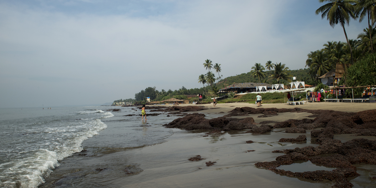 25 persone sono morte in un incendio in un locale a Goa, in India