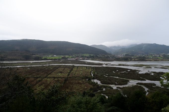 Ce lo vedete un museo, in questo posto?